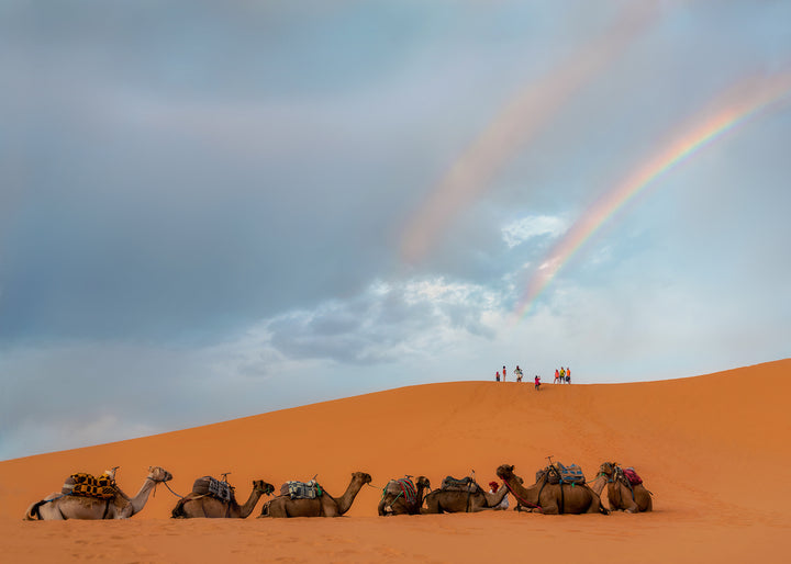 Camels and Rainbows
