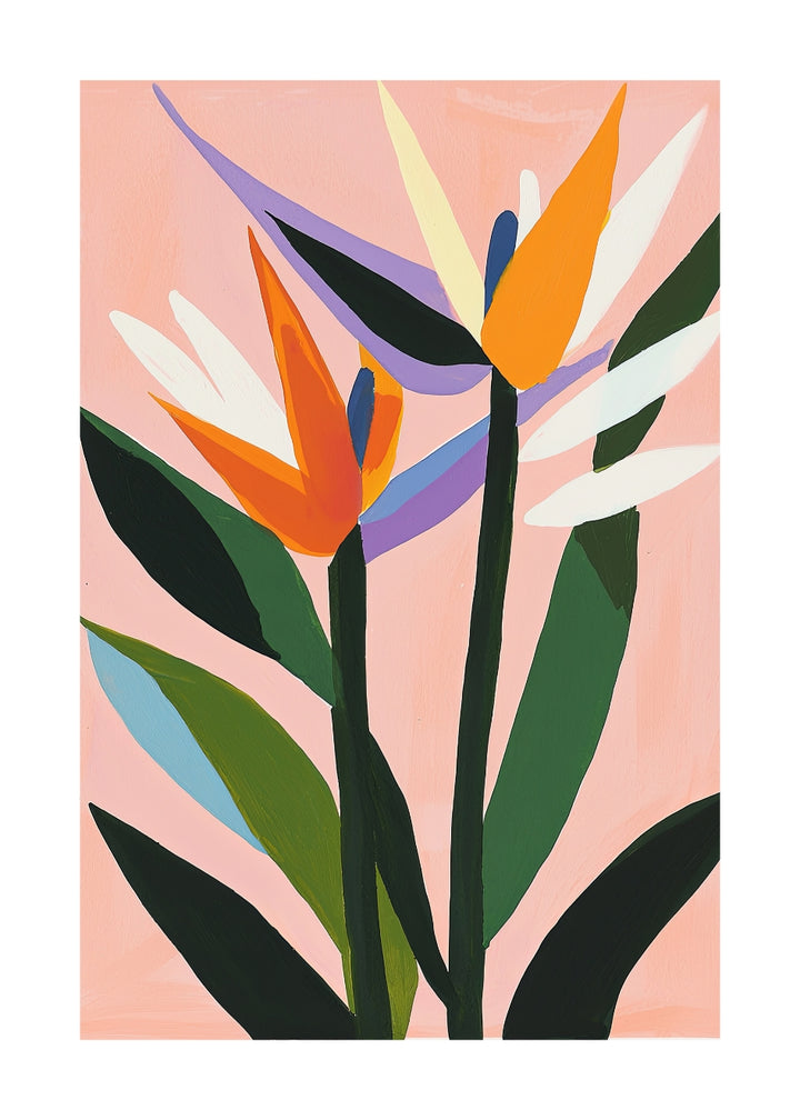 AVES DE PARAÍSO ROSA