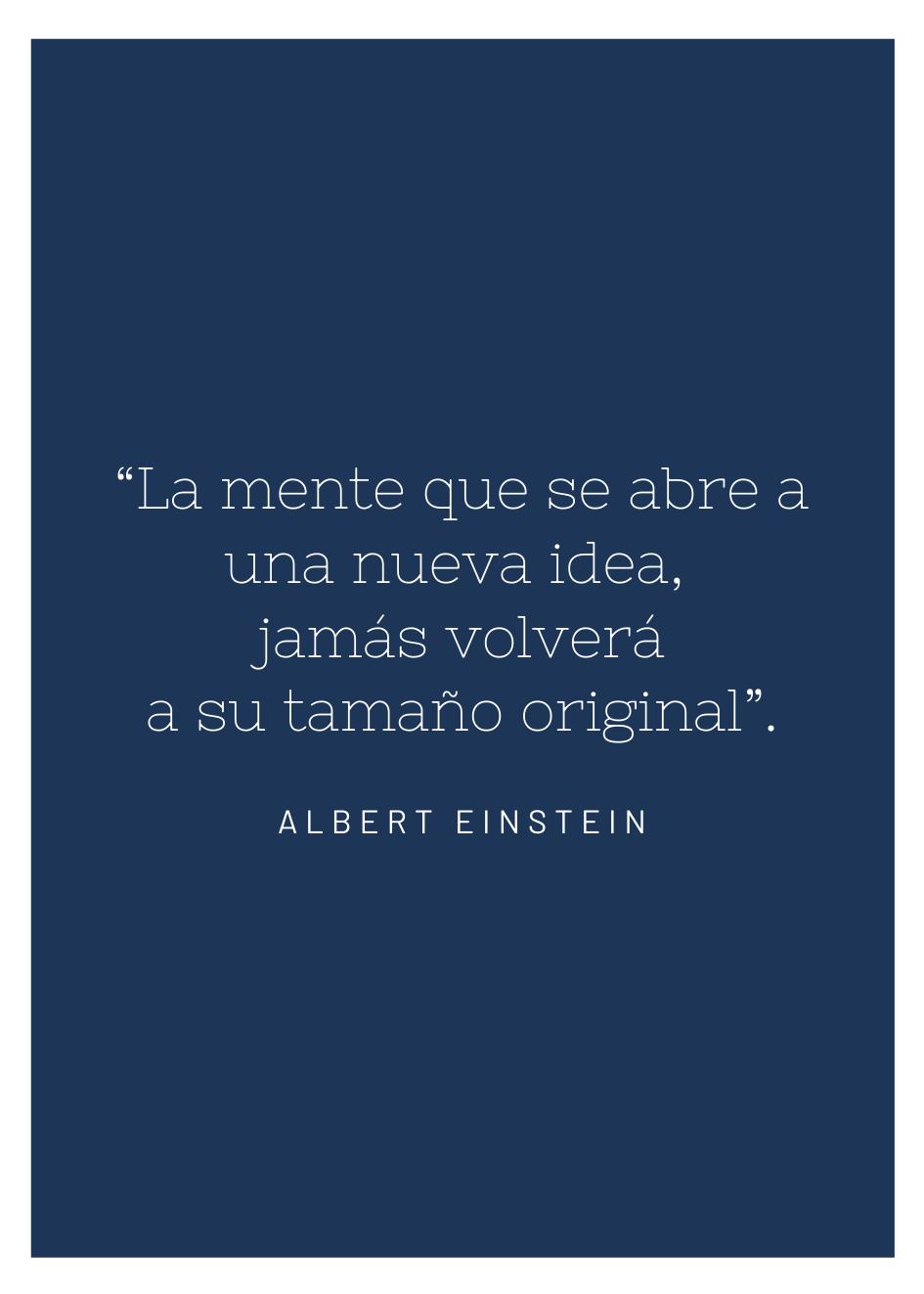Cuadro-DE EINSTEIN-Studio Malek