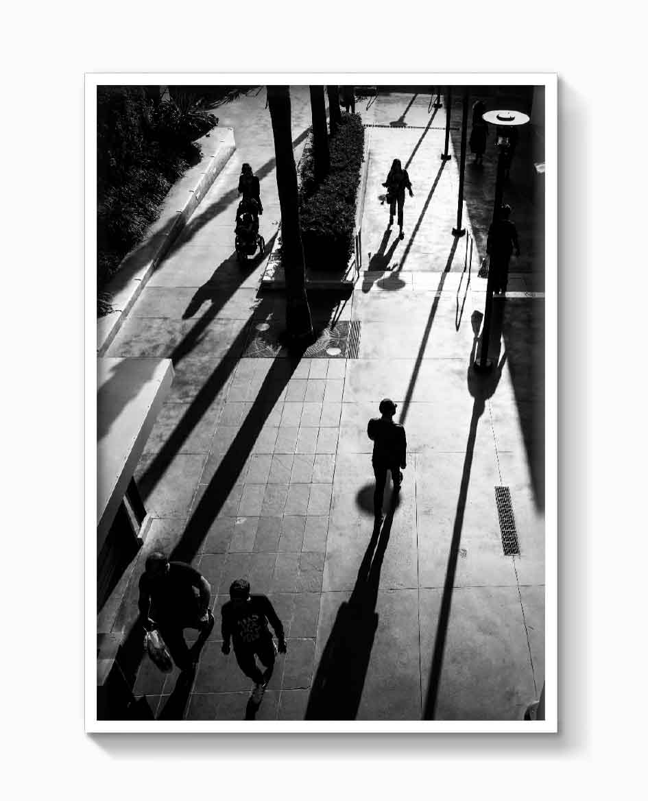 HOLLYWOOD SHADOWS