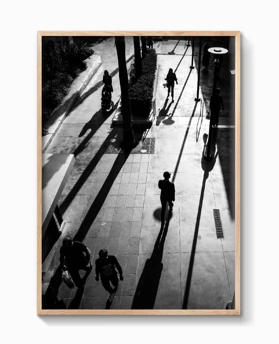HOLLYWOOD SHADOWS
