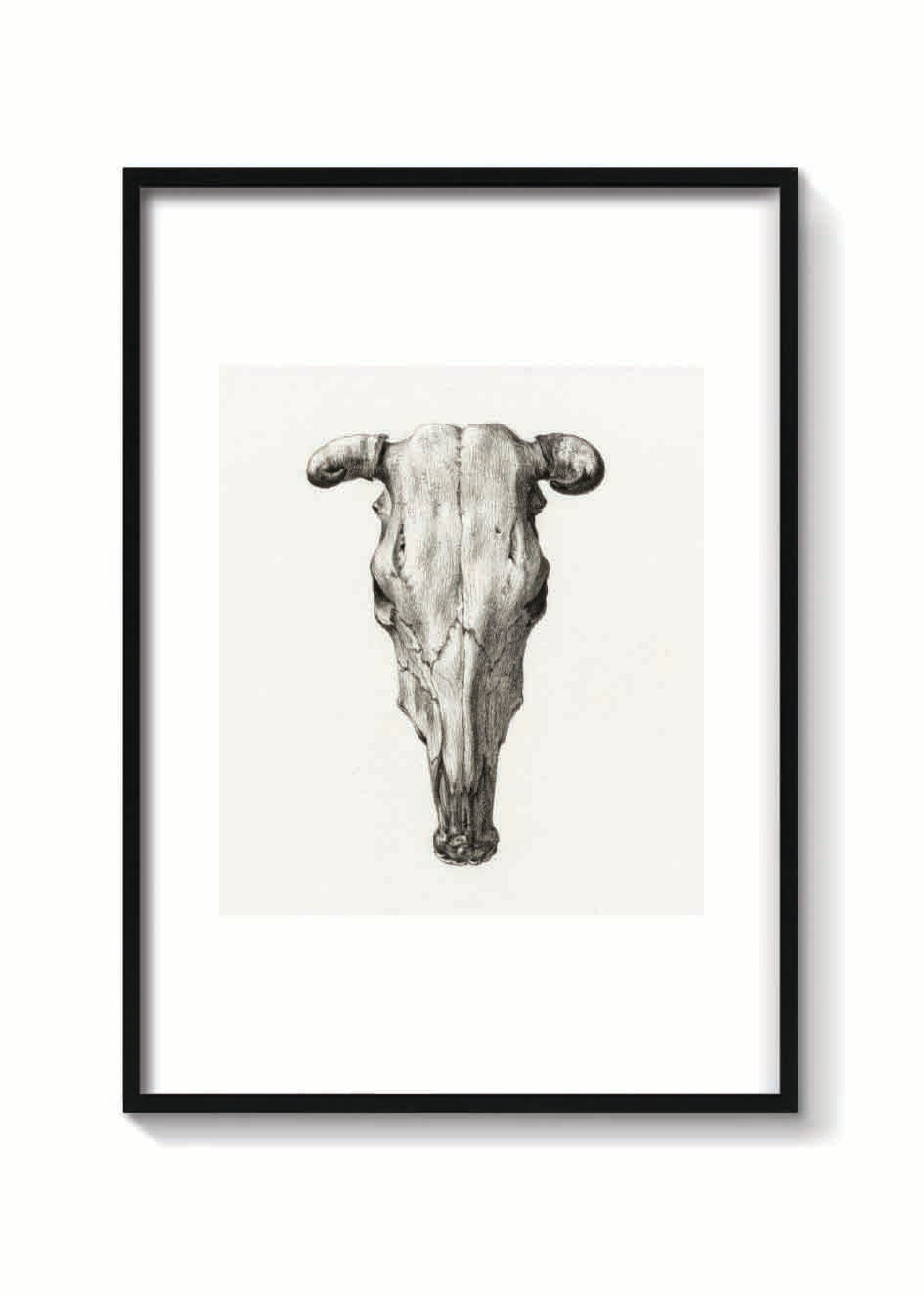 SKULL