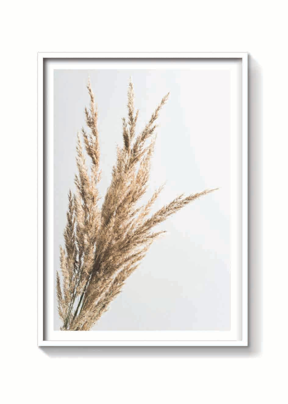 TRIGO DORADO